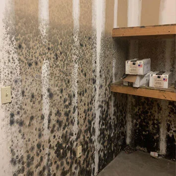 Carpet Water Removal NYC